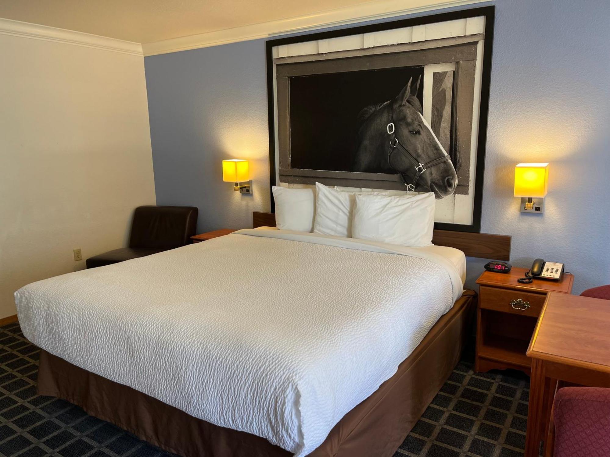 Creekside Inn & Suites Willits Dış mekan fotoğraf